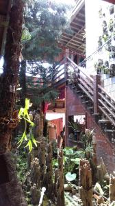 una exposición de plantas y árboles en un edificio en Sea Villa Homestay, en Tongxiao