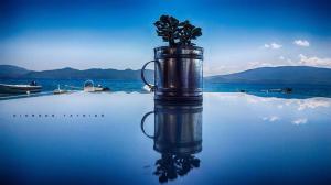 a glass jar with a plant in it on the water at Enalio Rooms in Glida