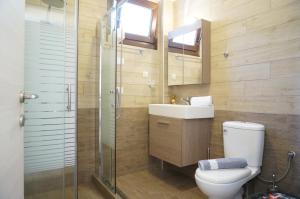a bathroom with a toilet and a sink and a shower at Villa Giota in Potamiá +29 photos
