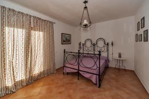 ペーシャ・ロマーナにあるLavanda Country Houseのベッドルーム(紫色のベッド1台、窓付)