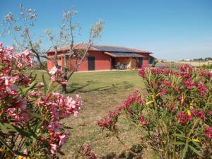 ペーシャ・ロマーナにあるLavanda Country Houseのピンクの花の家