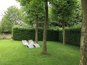 Aed väljaspool majutusasutust Neerhof