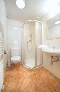 a bathroom with a shower and a toilet and a sink at Hotel Eckartauerhof in Mayrhofen