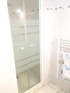 a shower with a glass door in a bathroom at Sweet Apartment in Saint Malo +33 photos