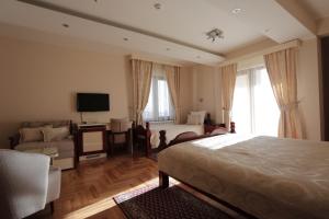 ノヴァ・ヴァロシュにあるIN Hotel Zlatar ex Zlatarski Biseriのベッドルーム(ベッド1台、ソファ、テレビ付)