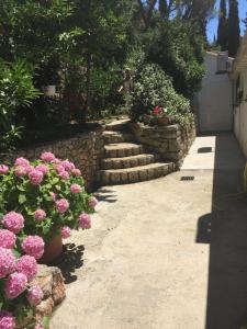 a stone pathway with pink flowers and plants at Apartment and room Sveti Jakov in Dubrovnik