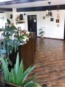a waiting room with potted plants and a lobby at Pensiunea Casa Boiereasca in Peştera