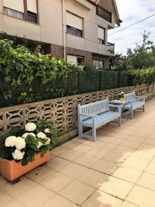 two benches sitting next to a fence with flowers at Apartamentos Costa Noja in Noja