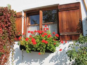ein Fenster mit roten Blumen in einem Fensterkasten in der Unterkunft Gästehaus Bergstüberl in Reit im Winkl