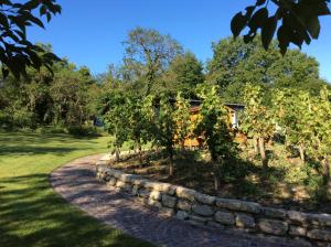 Fotografie z fotogalerie ubytování Ferien-Wein-Gut Keifer v destinaci Bernkastel-Kues