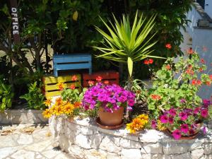 un groupe de fleurs en pots dans un jardin dans l'établissement Breezes B&B, à Conca Specchiulla