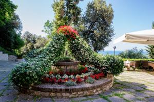 Zahrada ubytování Hotel Internazionale