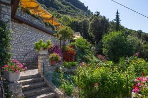 Zahrada ubytování Hotel Internazionale