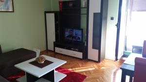 TV a/nebo společenská místnost v ubytování Apartman Sabljak