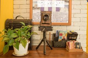 Fotografie z fotogalerie ubytování Mallorca Homestay v destinaci Chua-lien