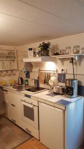 Kuchyň nebo kuchyňský kout v ubytování Apartment Heiko