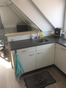 uma cozinha com um lavatório e uma bancada em Appartement Drommel em Zandvoort