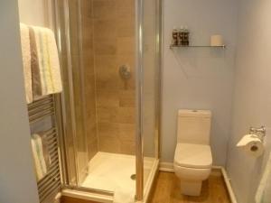 a bathroom with a shower and a toilet at The Nook @ Drop Anchor in Portishead