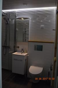 a bathroom with a shower and a toilet and a sink at City Apartment Kauppakatu with Sauna in Iisalmi +20 photos