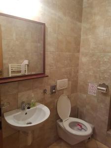 bagno con lavandino, servizi igienici e specchio di Guest House Meat Heads Pub a Komárno