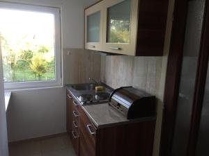 a kitchen with a sink and a toaster oven at Boulevard Apartments Cuprija in Ćuprija