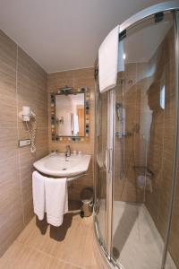 uma casa de banho com um lavatório e um chuveiro em Hotel Castillo de Javier em Pamplona