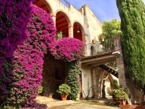 Jardín al aire libre en Apartaments Can Gibert