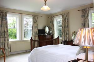 Croom的住宿－Garrane House，一间卧室设有一张床和两个窗户。