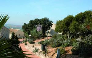 Príroda v okolí of the country house