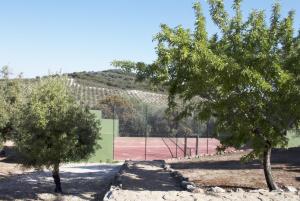 Príroda v okolí of the country house