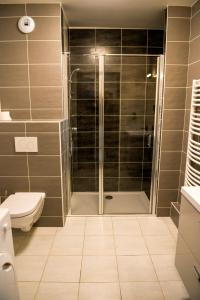 a bathroom with a shower and a toilet at Appartement au pied du Mont-Blanc ! in Sallanches