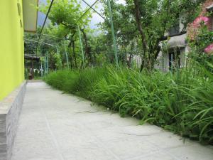 una pasarela en un jardín con plantas en Villa Impress, en Varshets