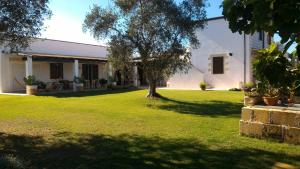 A garden outside Masseria Vignenove