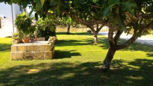 A garden outside Masseria Vignenove