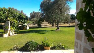 A garden outside Masseria Vignenove