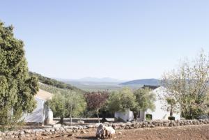 Príroda v okolí of the country house
