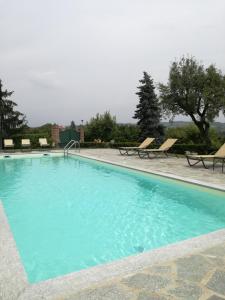 a large blue swimming pool with chairs and trees at Agriturismo bottega di Rosanna in Castagnole Lanze