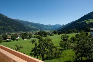 una vista de un campo verde con montañas en el fondo en Landhaus Zeller, en Fügenberg