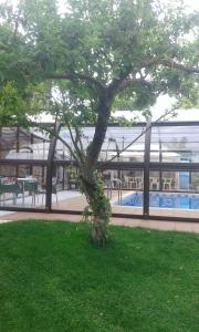 a tree in the grass next to a pool at Casa Rural Landa in Galbarra