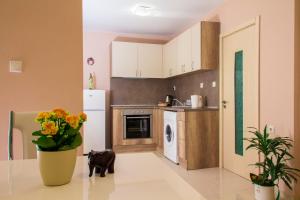 Η κουζίνα ή μικρή κουζίνα στο Central Point Apartments +24 φωτογραφίες