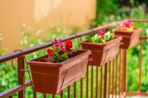 three potted flowers on a railing on a balcony at Central Point Apartments in Ruse