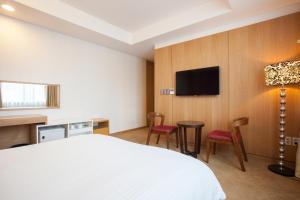 TV a/nebo společenská místnost v ubytování Hotel Pharos