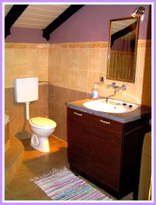 a bathroom with a toilet and a sink and a mirror at Apartmani Andrija in Jezera