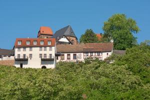 an old house on top of a hill at Burggarten Appartements Neuleiningen in Neuleiningen