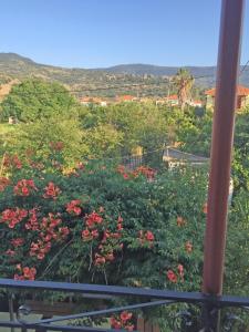 Gallery image of Acapoulco apartments in Anaxos