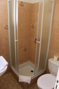 a bathroom with a shower and a toilet at Hôtel de la plage in Agay - Saint Raphael