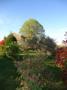 バンヌにあるLe vieux tilleulのピンクの花の庭園