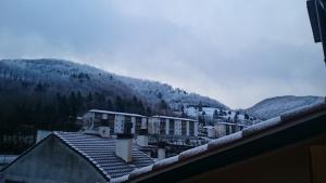 リベス・デ・フレセルにあるAtico en centro Ribes de Freserの山を背景とした町並み