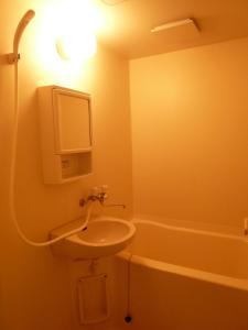 Vonios kambarys apgyvendinimo įstaigoje Little Forest Inn Nikko