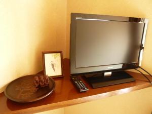 TV a/nebo společenská místnost v ubytování Little Forest Inn Nikko